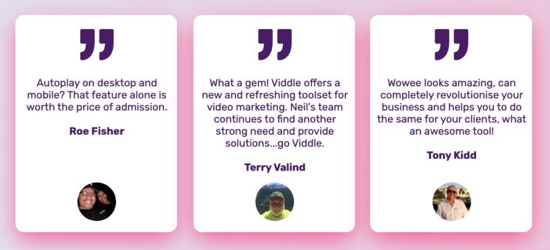 viddle review